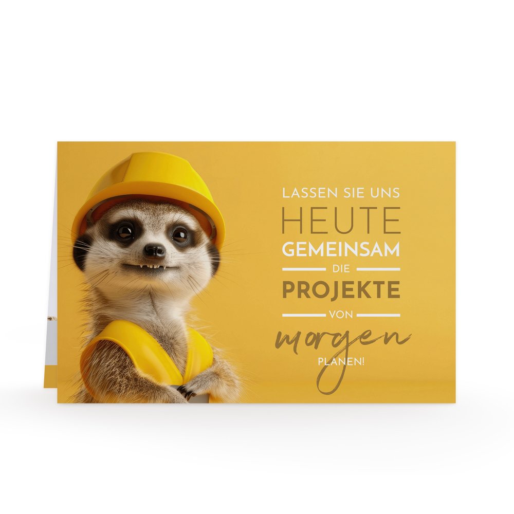 Timon