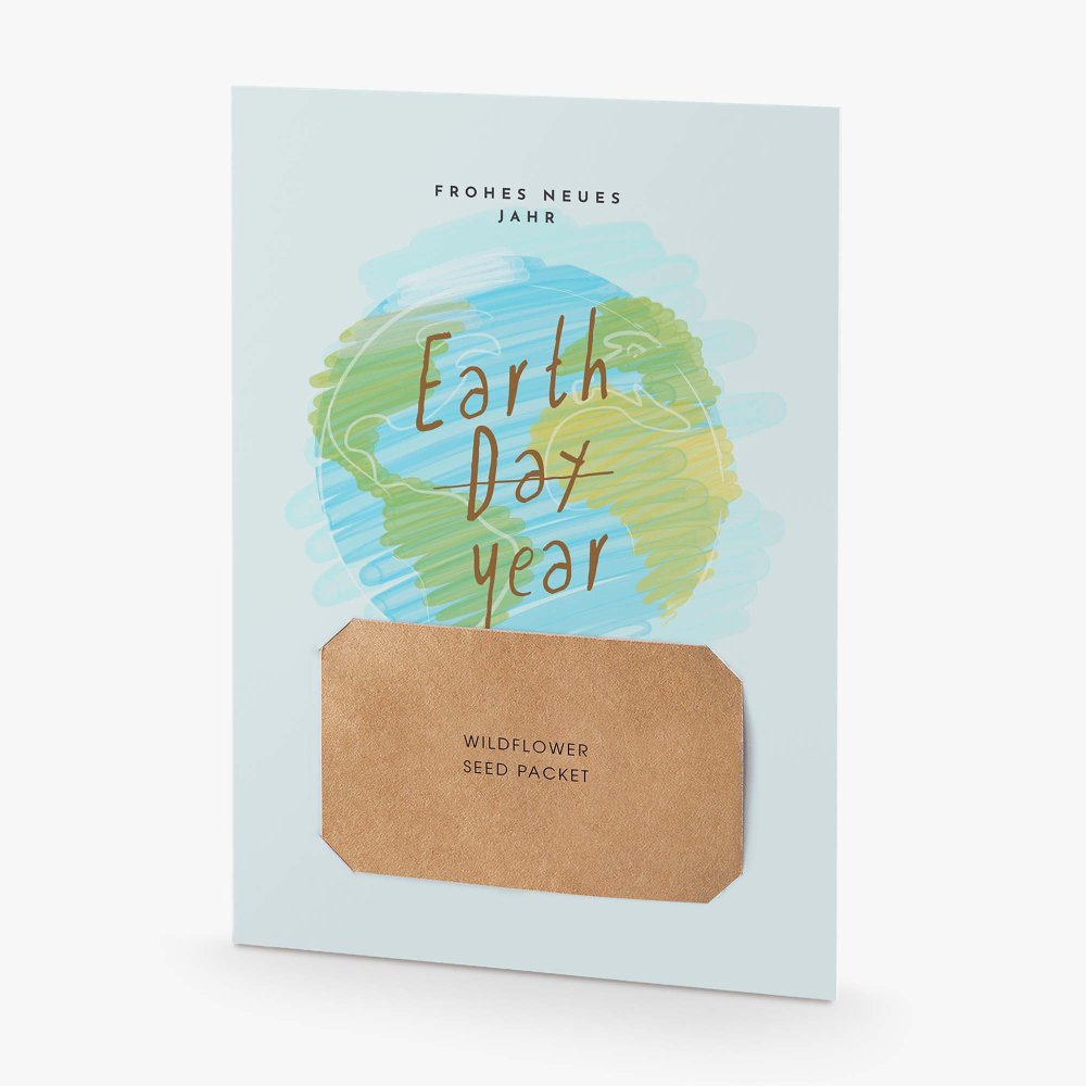 Earth year