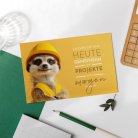 Timon