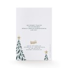 Graceful christmas