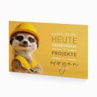 Timon