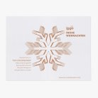 Snow Star