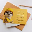 Timon