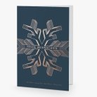 Snow Star