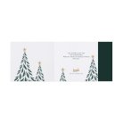 Graceful christmas