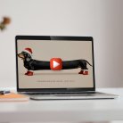 Weihnachtsdackel