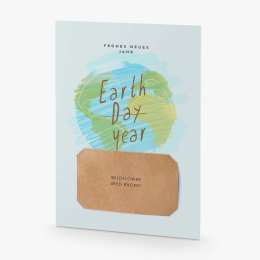 Earth year