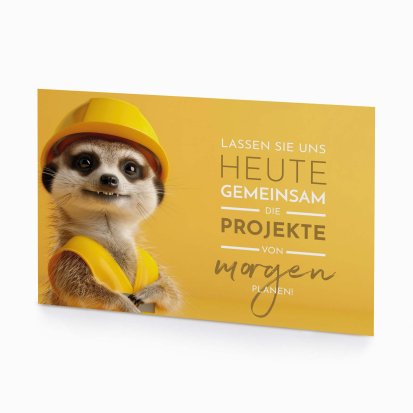 Timon